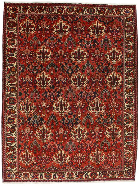 Bakhtiar - Garden Tapis Persan 296x222